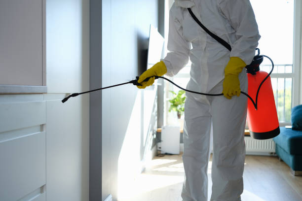Best Mold Removal Company Near Me  in South Sarasota, FL
